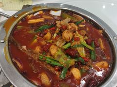 黄辣丁-小贝壳酒楼(经九路店)