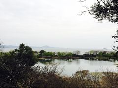 华东疗养院-上海市保健医疗中心(华东疗养院)