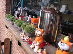 -柴犬高等学院·狗咖·柴犬售卖·宠物训练