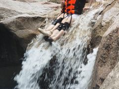 -九龙江国家森林公园