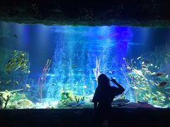 -沈阳海洋探索中心