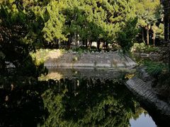 -叶家花园