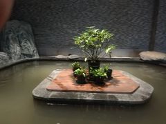 -溧阳天目湖天沐温泉