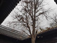 -太平天国历史博物馆(瞻园)
