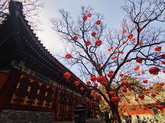 -香山公园