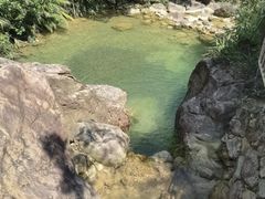 -南海湾森林生态园