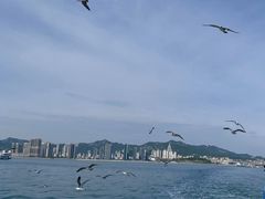-刘公岛景区