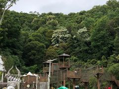 -梅州雁山湖国际花园度假区