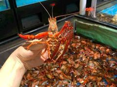 -盒马鲜生(馥邦国际店)