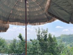 -桃源山庄·水蜜桃采摘·柴火鸡·烧烤团建(龙泉山店)
