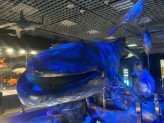 -国家自然博物馆