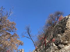 -秦岭终南山世界地质公园翠华山景区