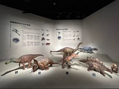 -自贡恐龙博物馆