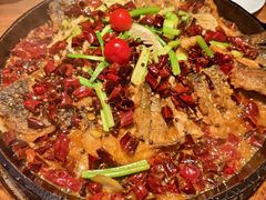 -老板恋上鱼(恒隆广场店)