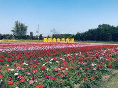 -迪茵湖田家舍生态农场