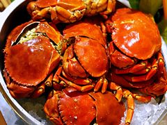 元宝蟹-济南香格里拉·咖啡泉自助餐厅