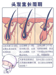-三只熊皮肤管理中心旗舰店