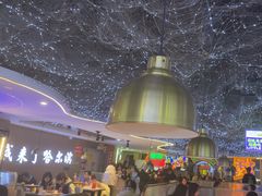 -徐记小怪兽肉蟹煲(中央大街店)