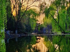 -白塘生态植物园