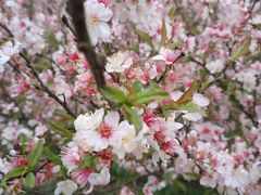 -南山风景名胜区