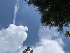 -长虫山生态公园风景林