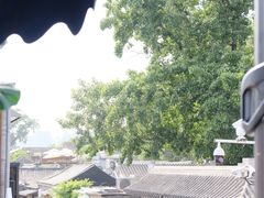 -Sirena海妖日咖夜酒