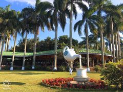 -侯臣咖啡文化村