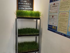 -朵朵开素食餐厅(后宰门街店)