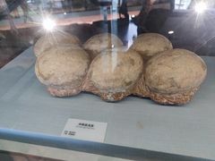 -湖南省地质博物馆