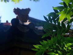 -北京国子监胡同