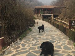 -北京水岸山吧度假村(雁栖镇店)