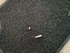 -龙捷快修(方洲邻里中心店)