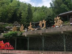 -宁波浙东大竹海景区