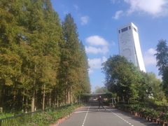 -东平国家森林公园