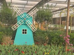 -南宫五洲植物乐园