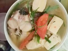 -田螺阿姨自营月嫂·育儿嫂(高新店)