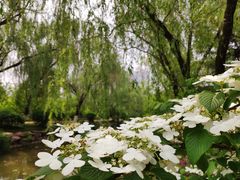 -宝鸡植物园