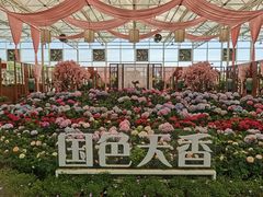 -盈香心动乐园