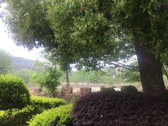-木兰云雾山