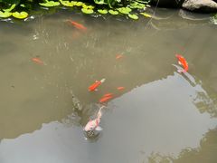 -中国湿地博物馆