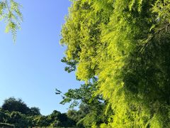 -张坝桂圆林公园