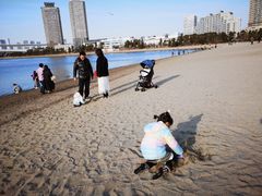 -台场海滨公园船码头