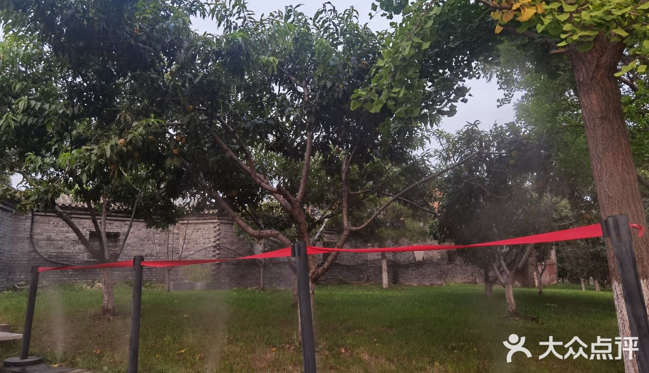 饭后闲逛,茶鱼乘凉