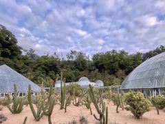 -深圳仙湖植物园