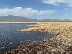 -野鸭湖国家湿地公园