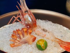 -地球美食剧场