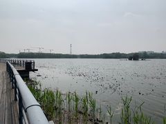 -大兴滨河森林公园