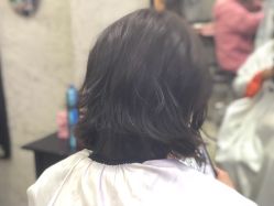-SALON V