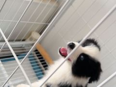 -联合动物医院(光谷诊疗中心)
