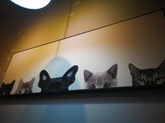 -吃饼人西餐(南开店)